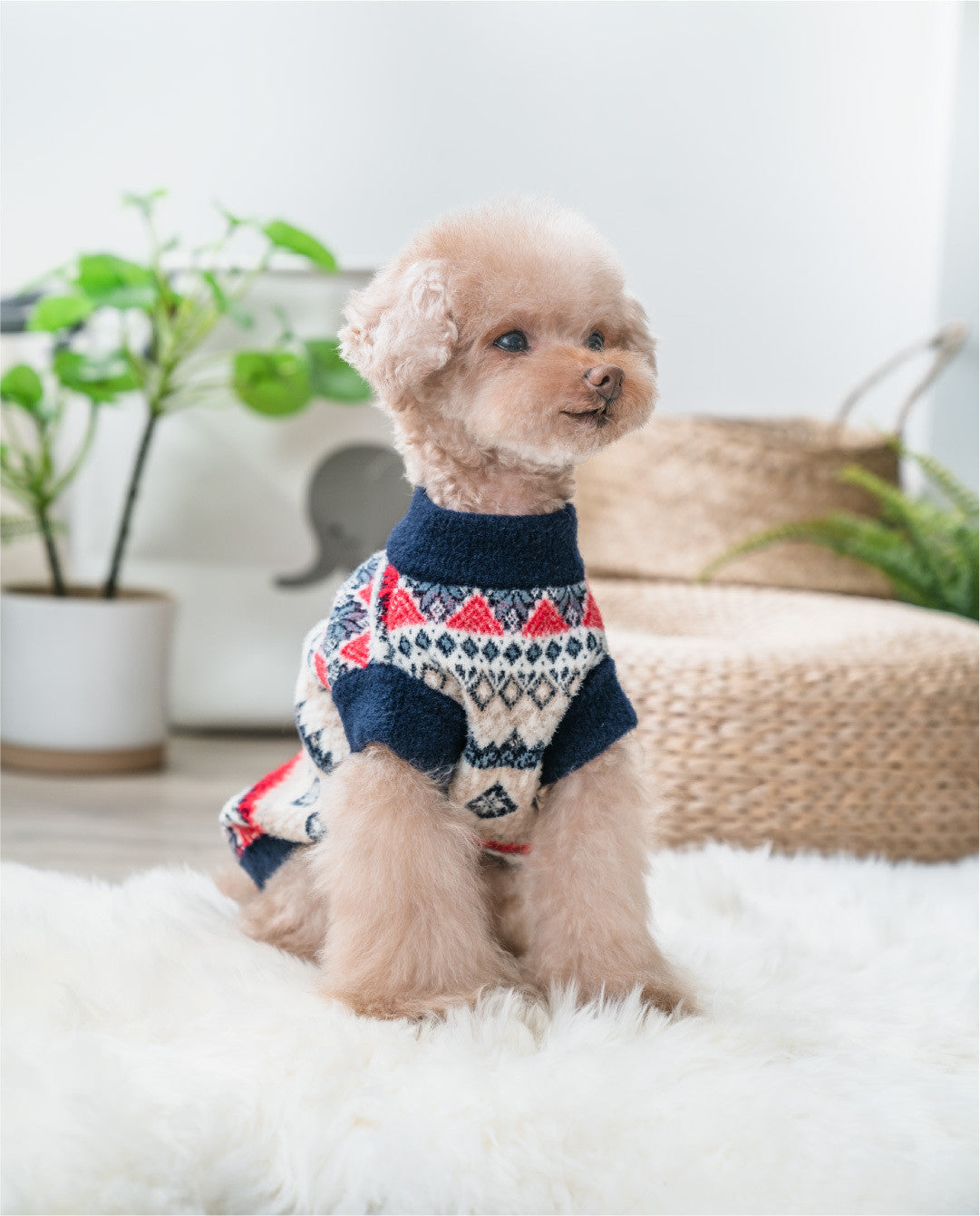 Nordic Print Dog Sweater – Faux Mink | MATERA PET