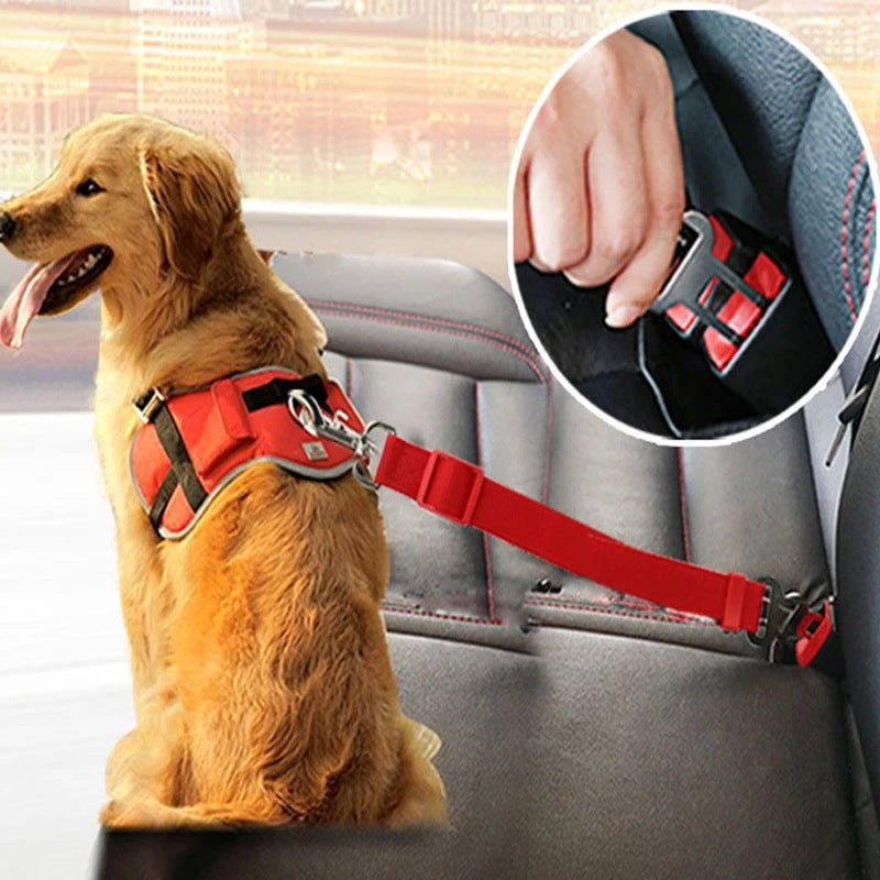 Dog secured in a car with an adjustable seat belt safety tether