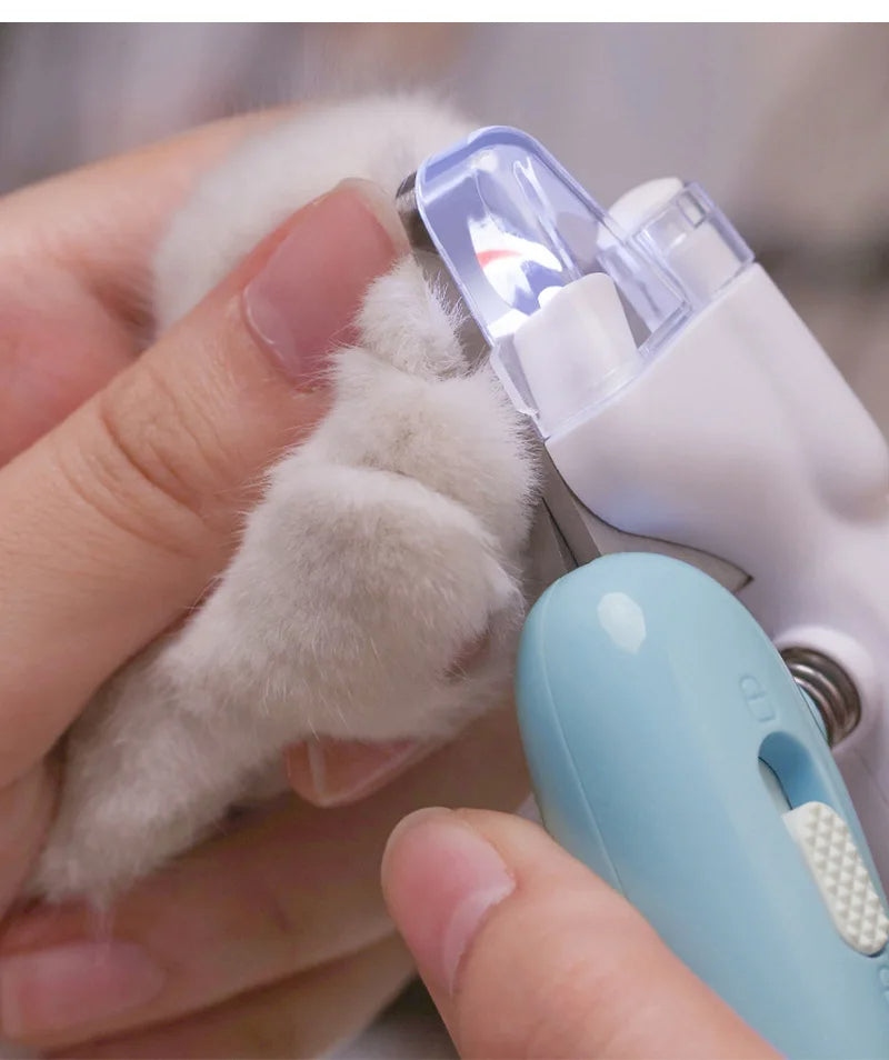 LED light shining through a white cat paw nail before trimming