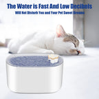 MATERA PET 101 oz water fountain that uses these replacement filters – ultra-quiet