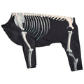 MATERA PET Skeleton Halloween Costume for Large Dogs — photo 8 of 9