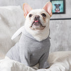 Dog Knit Sweater