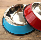 2-in-1 Pet Bowl