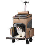 MATERA PET trolley carrier backpack – dimensions and size guide