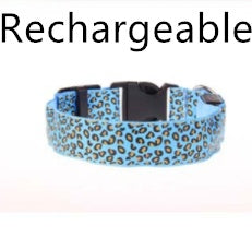 MATERA PET LED dog collar glowing at night on a walk