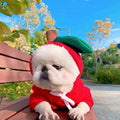 MATERA PET Warm Fleece Dog Hoodie — photo 8 of 14