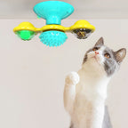Cat Scratcher Toy