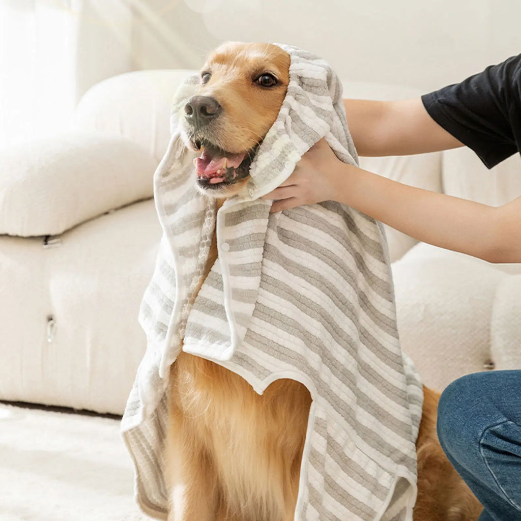 Quick drying pet towel wrapped around a dog
