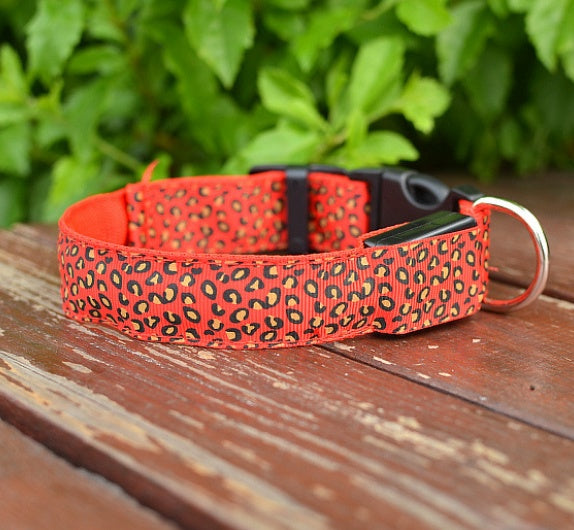 LED Dog Collar
