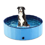 MATERA PET pet pool used as an outdoor bath tub for washing a dog