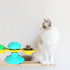 Cat Scratcher Toy