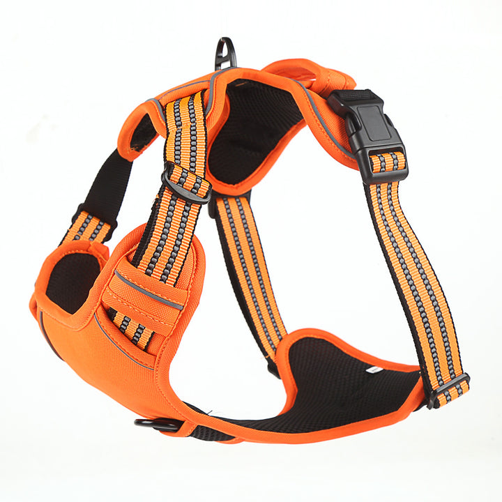 MATERA PET adjustable harness – quick-release buckle detail
