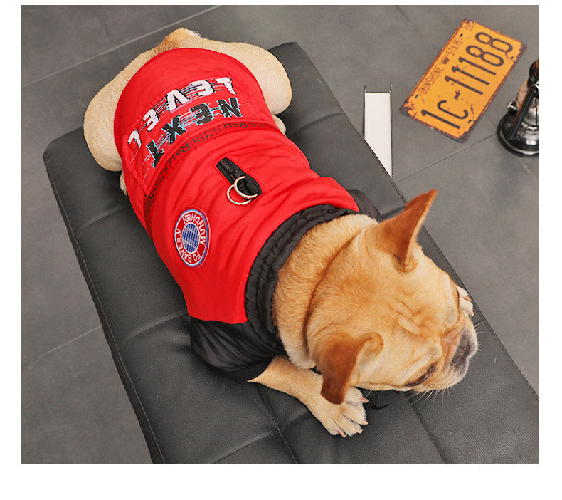 MATERA PET Padded Winter Coat for Small Dogs — photo 7 of 7