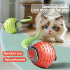 Smart Rolling Cat Toy Ball
