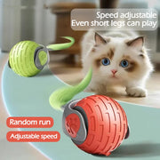Smart Rolling Cat Toy Ball