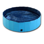 MATERA PET dog pool – puppy playing in fresh water in summer