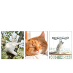 Suction Cup Cat Window Hammock