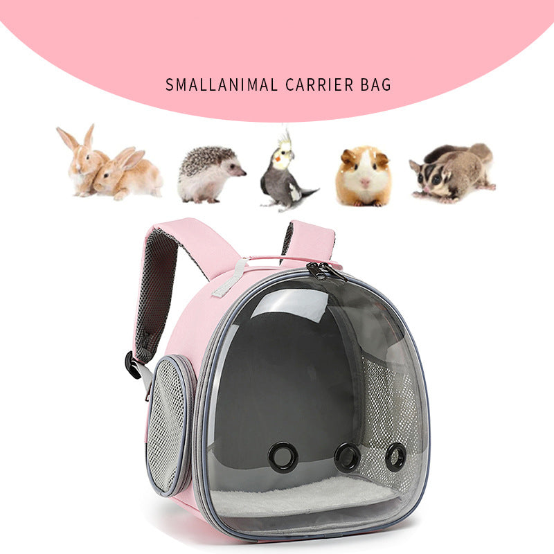 Dimensions of the small pet backpack shown