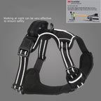 MATERA PET no-pull dog harness – padded chest plate detail