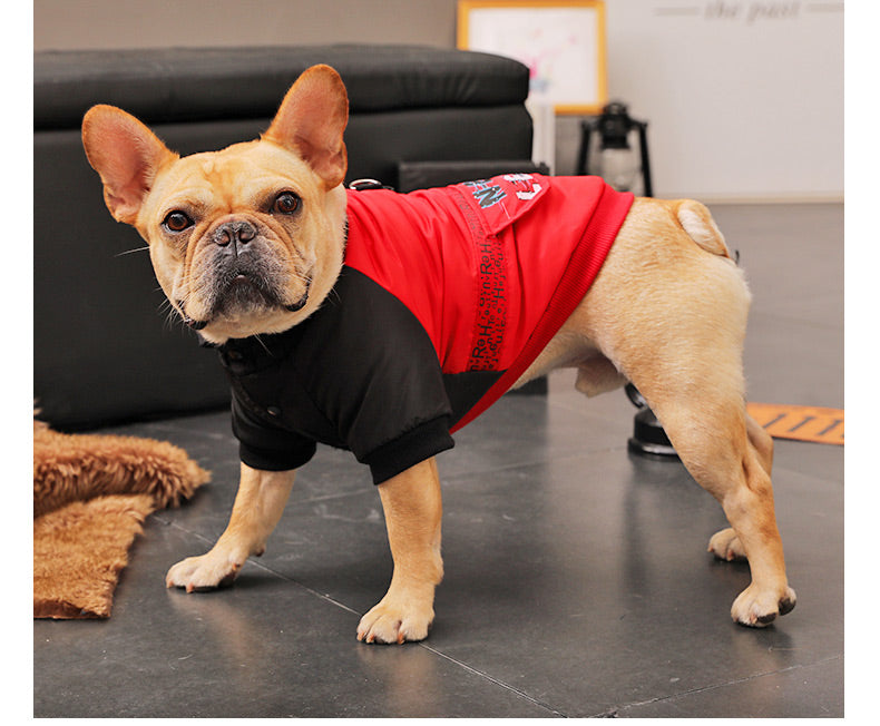 MATERA PET Padded Winter Coat for Small Dogs — photo 6 of 7