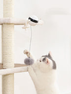 Interactive Cat Teaser Toy