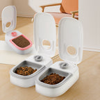 Automatic Timed Pet Feeder