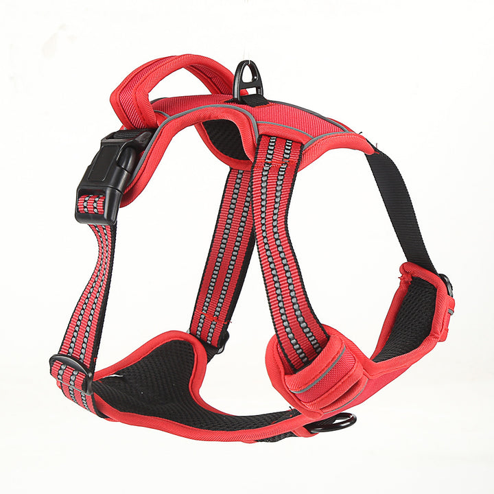 MATERA PET no-pull harness worn by a medium-sized dog