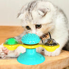 Cat Scratcher Toy