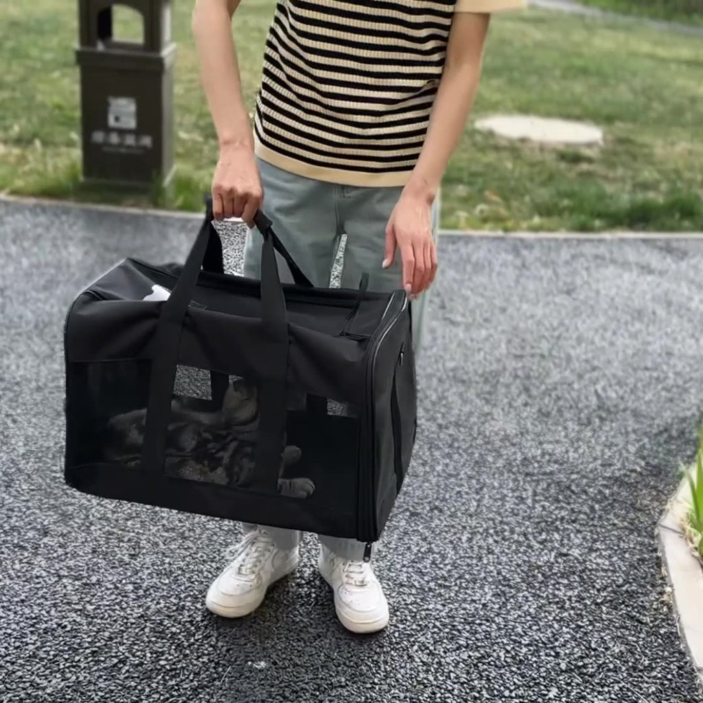 Black soft sided cat carrier with zip closure