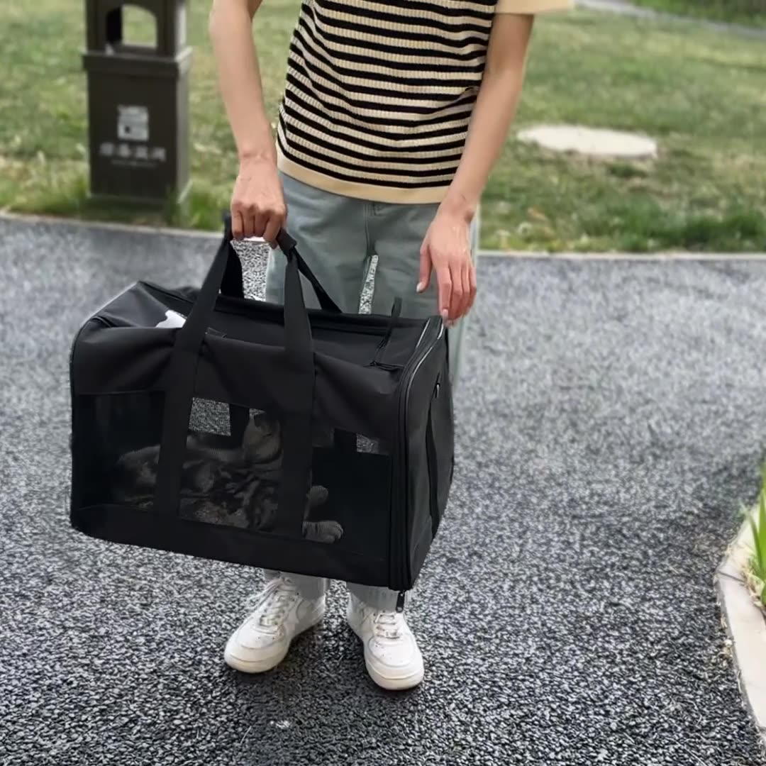 Black soft sided cat carrier with zip closure