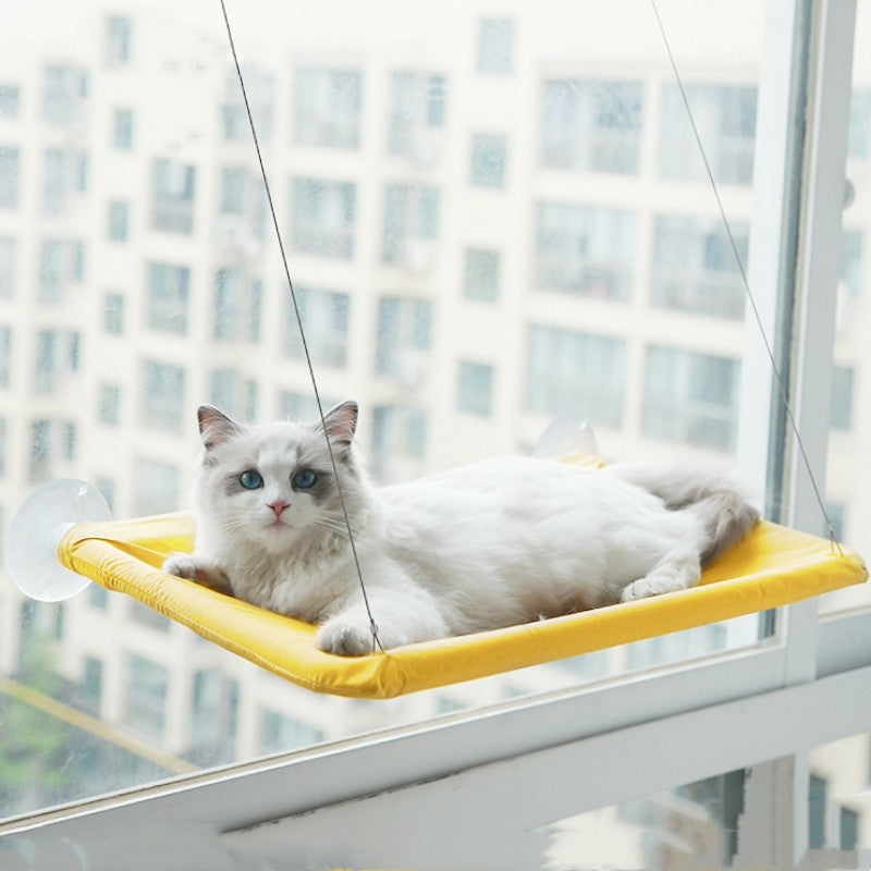 MATERA PET cat window hammock seen from below against the glass