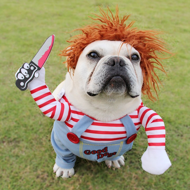 MATERA PET Horseman dog costume – cowboy rider illusion with wig and foam knife