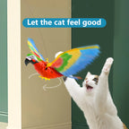 Hanging Bird Cat Toy
