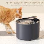 Pet Water Fountain