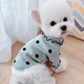 MATERA PET mint green polka dot ribbed turtleneck sweater worn by a small dog