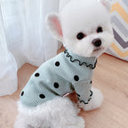 MATERA PET mint green polka dot ribbed turtleneck sweater worn by a small dog