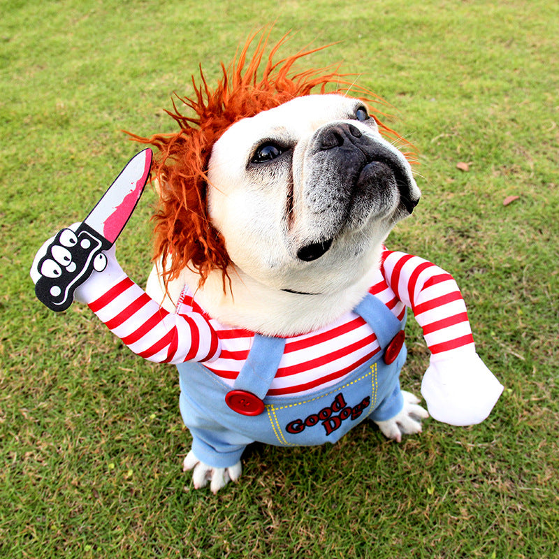 MATERA PET funny Halloween dog costume – dress-up for parties