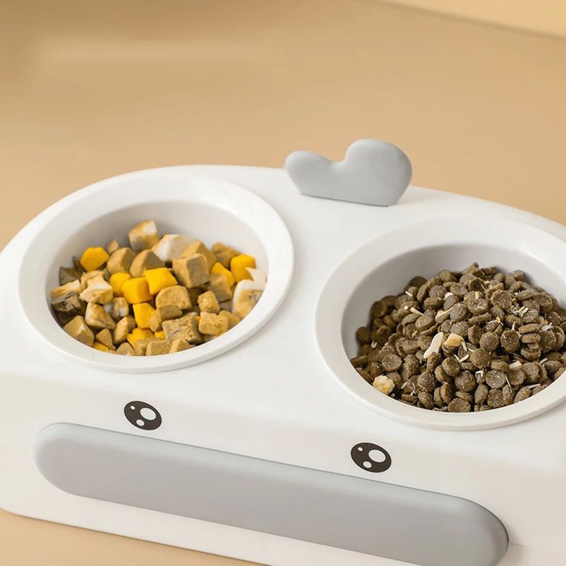 Food and water served side by side in the tray
