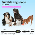 Anti Bark Training Collar