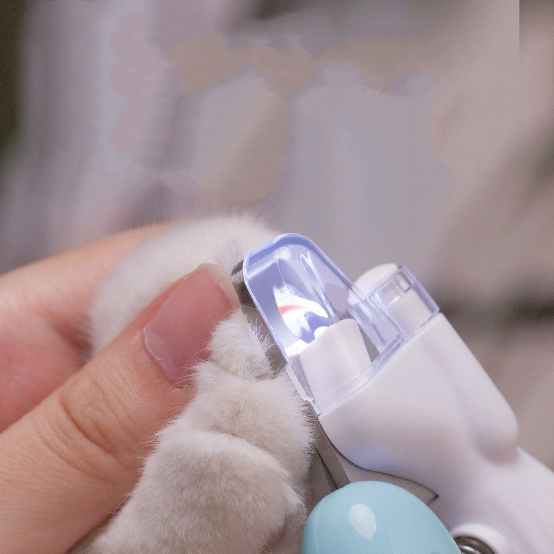 Lit nail seen through the safety guard while trimming a fluffy paw