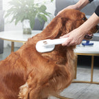 MATERA PET self-cleaning brush shown in available colours