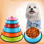 2-in-1 Pet Bowl