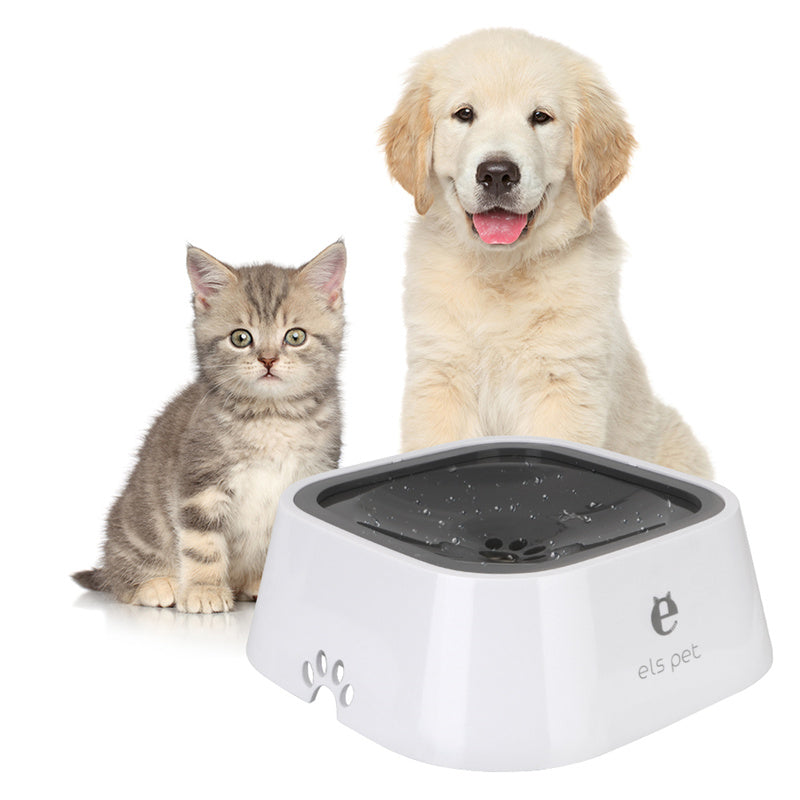Kitten and golden retriever puppy beside the MATERA PET no-spill floating water bowl