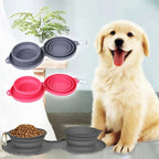 MATERA PET collapsible double dog bowl – folded flat for travel