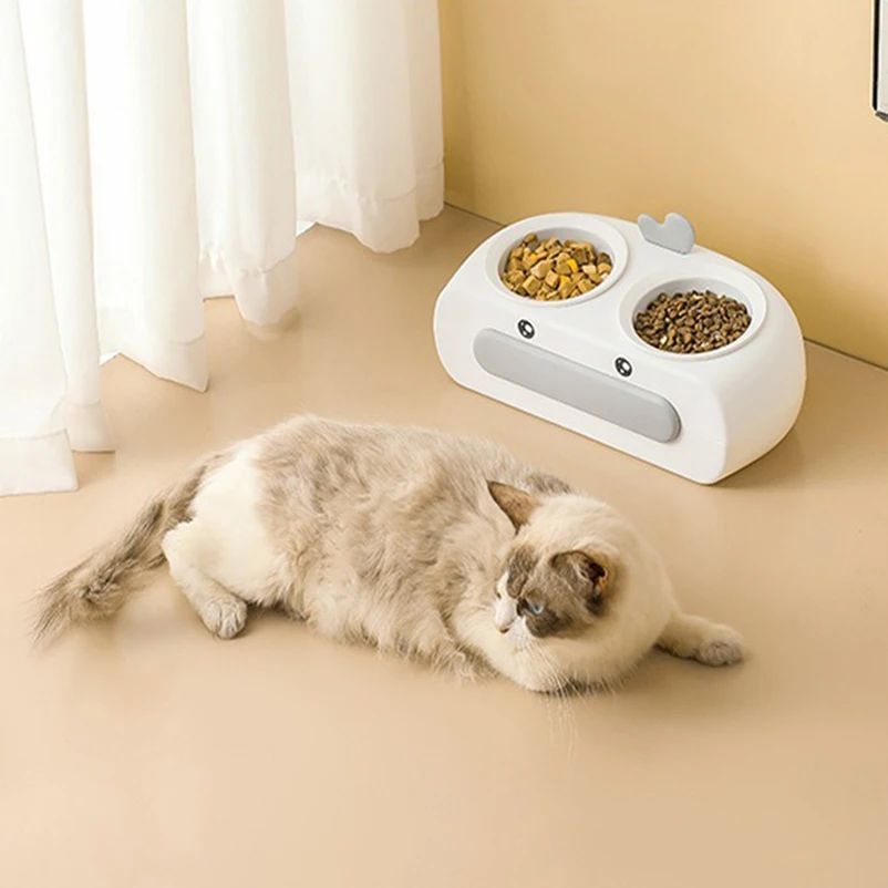Top view of the twin bowl feeding station