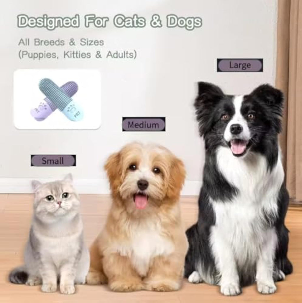 MATERA PET pet toothbrush rinsing clean in a few seconds