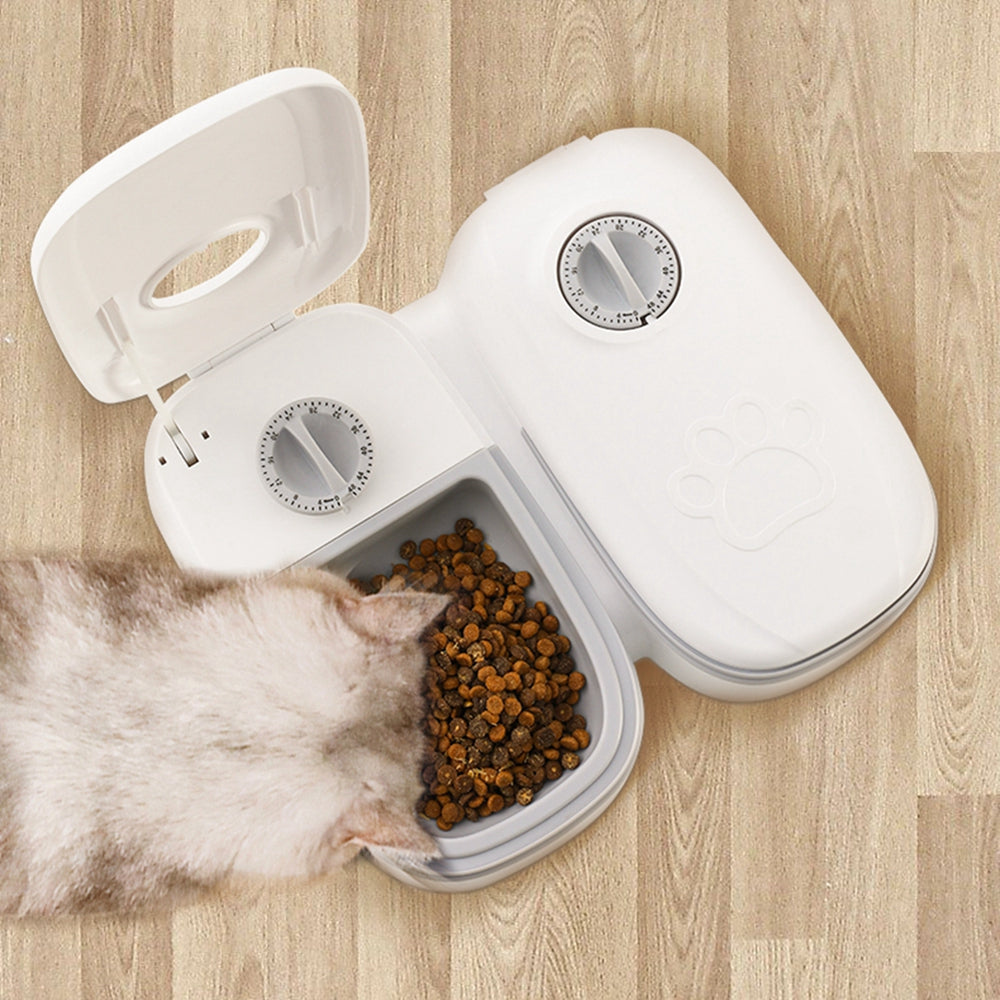 White cat eating kibble from the open MATERA PET automatic timed feeder