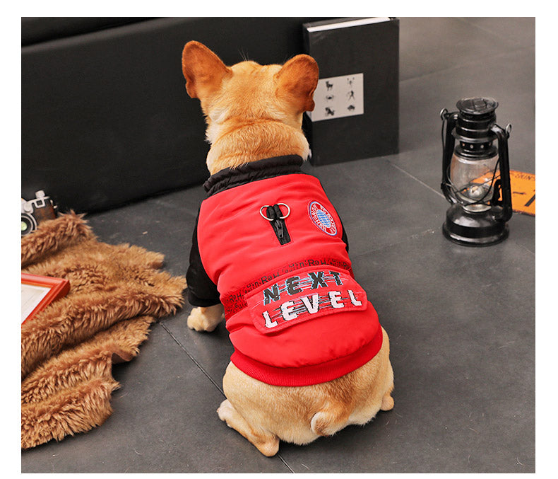 MATERA PET Padded Winter Coat for Small Dogs — photo 5 of 7