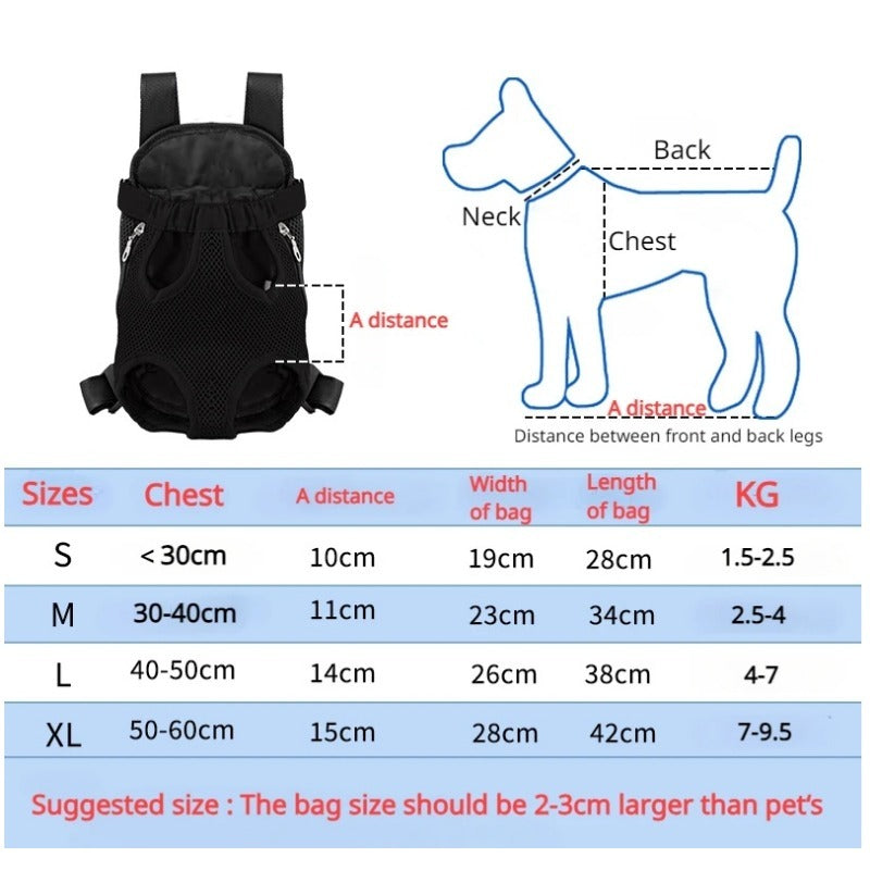 Blue front carrier for small dogs on a hike