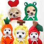 Chihuahuas in MATERA PET heart and frog hoodies with carrot, banana and apple styles